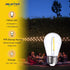 Jslinter S14 LED Bulbs, 25-Pack, 1W Energy-Efficient Outdoor String Lights, 2700K Warm White, E26 Base, Waterproof