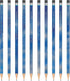 Chronicle Books Disappointing Affirmations Pencils for Fun and Humorous Writing