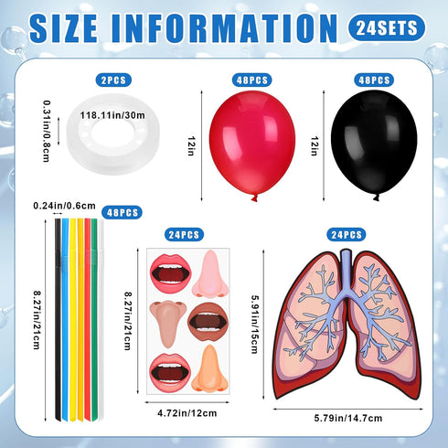 Libima 24 Sets Lung Model Respiratory System Model Toys Science Classroom Study Display Biologic Anatomy Doll and Human