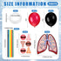 Libima 24 Sets Lung Model Respiratory System Model Toys Science Classroom Study Display Biologic Anatomy Doll and Human