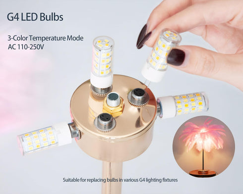 LINCWONZ 5W G4 BulbsAC 110-240V3-Way G4 12V 24V Power6-Pack LED Color Temperaturefor Interface Ostrich Feather LampWall