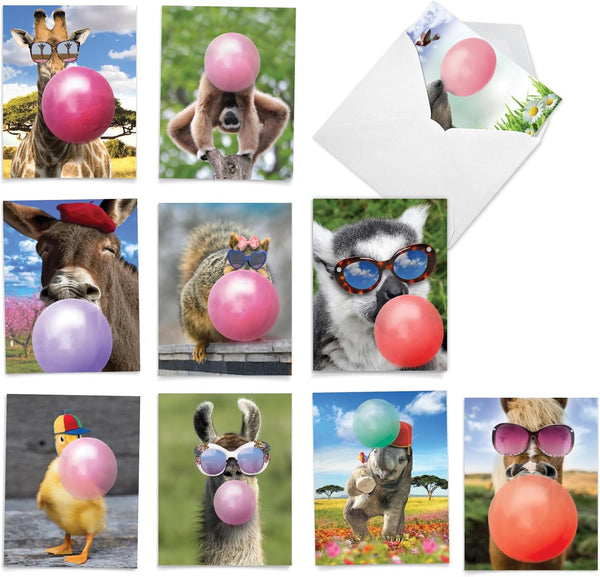 The Best Card Company 10 Funny Birthday Cards Assorted, Boxed Greeting Cards with Envelopes - Adult Retro