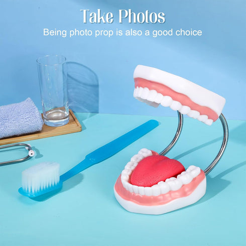 Set Baderke Huge Mouth Model with Hinge and Giant Toothbrush for Speech Therapy, Brushing Teaching Dental Teeth Model