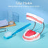 Set Baderke Huge Mouth Model with Hinge and Giant Toothbrush for Speech Therapy, Brushing Teaching Dental Teeth Model