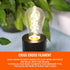 Fishbone Filament LED Edison Bulbs, 60 Watt Equivalent ST64 E26 Dimmable vintage Light Bulbs, 600Lumen 4000K Daylight White Spiral Old Fashioned Light Bulbs for Dining Room and island Kitchen by OMED