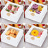 60 Pcs Bakery Boxes with Window, 6 x 6 x 3 Inches, White Cookie Boxes for Baked Goods