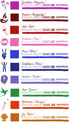 MONTEVERDE Bottle Ink – 30ml, Gratitude Magenta (G309GM)