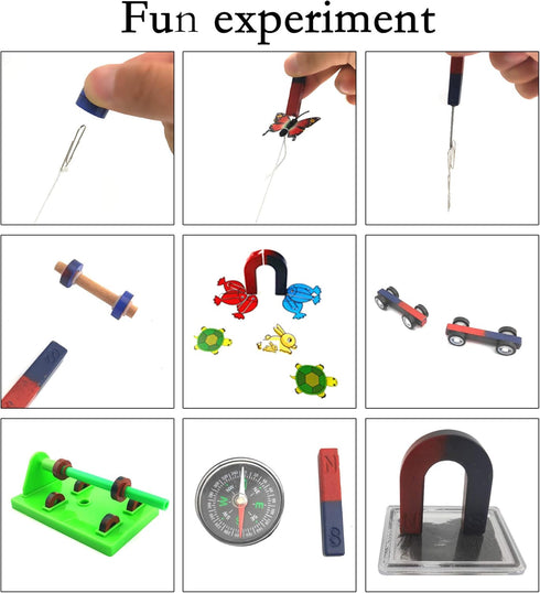 EUDAX Labs Junior Science N/S Magnet Set for Education Science Experiment Tools