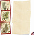 The Best Card Company Variety Pack of 10 Blank Christmas Greeting Cards with Envelopes - Humor Holiday Assortment (10