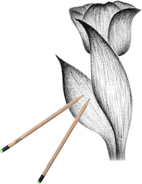 three leaf Recycled Paper Pencils, Pack of 10, Eco-Friendly, Non-Toxic Wood Free Pencil with Latex Free Eraser
