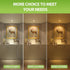 SETEN 6 Pack GU10 Bulbs, 6W (50W Dimmable 5000K 580LM, LED Halogen Equivalent) Daylight, for Track Lighting, Recessed