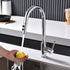 Kitchen Sink Faucet Head Replacement, Chrome Spray Head with 10 Adapters, Stainless Steel Pull Out Nozzle