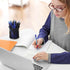 Fainne 300 Pcs Retractable Ballpoint Pens Bulk Medium Point (1.0 mm) Smooth Writing Pens for Office Supplies