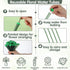 Grevosea 30 5.71 Inch PCS Floral Water Tubes for Flowers, Green Floral Water Tubes, Flower Stem Vials with Caps Plastic
