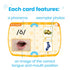 hand2mind Set, Mirror My Sounds Phoneme Letter Sounds Flash Cards, Toddler Speech Therapy Materials, Phonics
