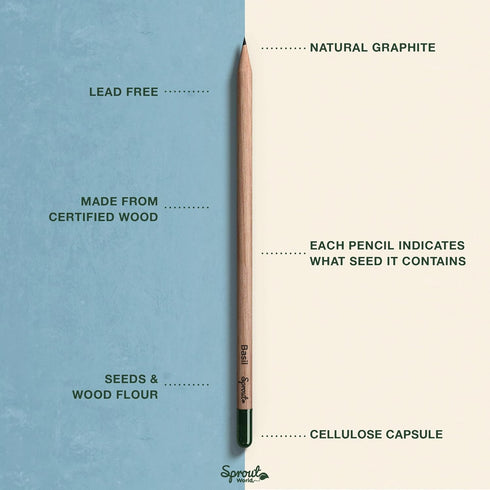 Sprout Wood-Cased Pencils, EVERYDAY EARTH, HB Pre-Sharpened Graphite Plantable Wooden Pencils, 12 Pack