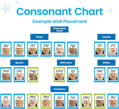 hand2mind Classroom Phonics Kit, Sound Wall Materials for Kindergarten, Speech Therapy, Phonemic Awareness, ESL (169