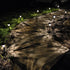 EXCMARK 10 Pack Solar Lights Outdoor Decorative Garden Yard Lights for Pathway Walkway Sidewalk Driveway. (Brown, Warm