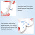 Annhua Large Dental Teeth Model with Denture Toothbrush, 2 Times Brushing Teaching Tools for Kids, Dental Students