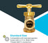 Eastman Irrigation Hose Bibb, 1/2 Inch MIP x 1/2 Inch MHT Outdoor Spigot
