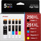 MX922 Ink Cartridges PGI-250XL CLI-251XL Replacement for Canon 250 and 251, Compatible with PIXMA IX6820 MX920 (5 Pack)