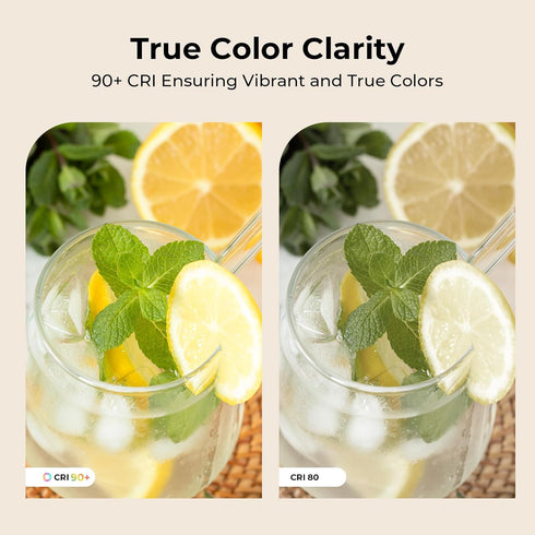 A19 Bulb Dimmable, 2700K E26 Bulb 6W, 60 A19 Bulb 90+CRI, 600LM, 12 Pack GvvooHome Clear Glass LED Edison Soft White
