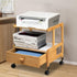 SHIPUNAYE 2 Printer Stand, Tier Small Printer Stand with Rolling Wheel, Heavy Duty Mobile Machine Cart with Organizer