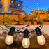 New S14 LED String Light Replacement Bulb, 12PK, 0.6 Watts, E12 Screw Base, Warm White