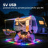 32.8ft Control,Dimmable IP67 Color Changing Fairy Lights with Remote, USB RGB+IC Light Twinkle Bluetooth APP Xmas Music