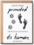 EdgarGifts You've Been Promoted Card - Dog Grandma To Human Grandma Card -