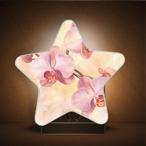 Burbuja 0.2W Floral LED Night Light Plug into Wall Star-Shaped Nightlight Dusk to Dawn Auto Sensor for Bedroom Bathroom