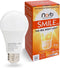 NorbSMILE Full Spectrum Sun Light Bulb, A19 9W, Boosts Energy & Mood, Imitate Sunlight Indoors, 1-Pack