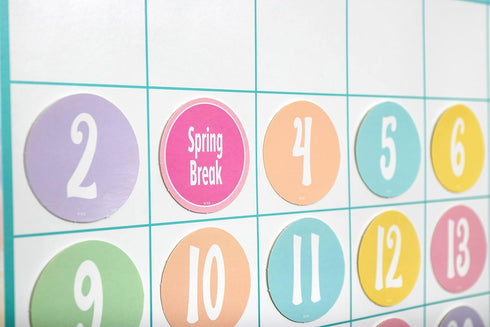 Pastel Pop Calendar Bulletin Board, Teacher Created Resources