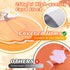 Fall Pumpkin Patch Bulletin Board Decoration - Back to School Decor with Autumn Leaves & Pumpkins