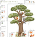 decalmile Woodland Animals Large Tree Wall Stickers Forest Animal Fox Rabbit Hedgehog Wall Decals Kids Room Baby