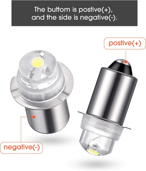 30 Lumen 3-Volt LED Replacement Bulb, Flashlight Bulbs with 10 Year Lifespan, 41-1643, 5 Pack
