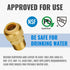 SUNGATOR Straight Connector Plumbing Fitting, Male Adapter 1/2 Inch by 1/2 Inch Push Fit PEX Fittings with Disconnect Clip, Push-to-Connect Copper, CPVC, No Lead Brass Pipe Fittings (2-Pack) by SUNGATOR