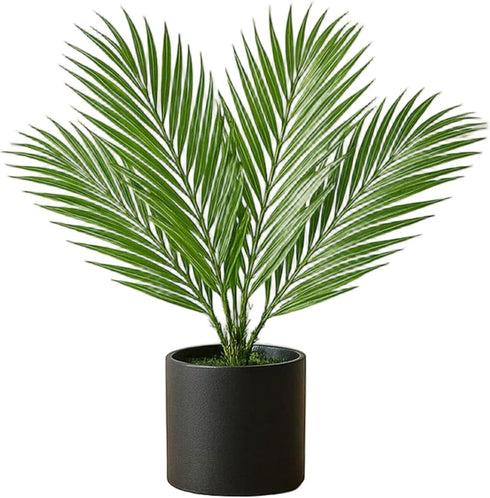Xoeryoy Palm Paradise Lamp, 18" LED Light Realistic Artificial Palm Tree Lamp, USB