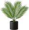 Xoeryoy Palm Paradise Lamp, 18" LED Light Realistic Artificial Palm Tree Lamp, USB