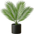 Xoeryoy Palm Paradise Lamp, 18" LED Light Realistic Artificial Palm Tree Lamp, USB