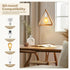 E26 6.6 (2M), 2-Pack DiCUNO Hanging Lantern Extension Cord Cable, Pendant Light Socket On Off Inline Cord Switch