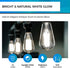 Bulb Dimmable, 4W 40W, 5000k E26 Bulbs, 450LM, 95+ Pack 6 Hizashi Vintage LED Edison Equivalent Daylight, Base Led