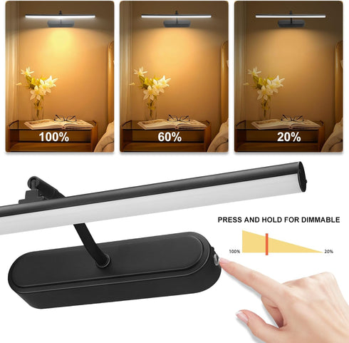 RAIFOOLLY Light,3AA Dimmable Picture Battery Wall Lights,Wireless Art Lights for Paintings,Remote Control Accent Light