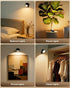 LINKEGO 2 3 Dimmable 360 1 Pack) LED Wall Mounted Lights Pcs with Remote, Rechargeable Wall Sconce with Color Temps