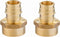 EFIELD Pex A Full Flow Expansion Brass Fittings, 1 inch x 1 inch Female NPT Adapter, Pack of 2