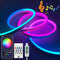iNextStation RGB Smart IC 5V USB Neon Led Strip Lights, 16.4Ft 5M