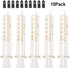 10ml Glass Syringes with Caps for Laboratory, 10 Pack
