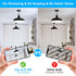 A19 LED Light Bulbs, 60 Watt Equivalent, 850 Lumen, Daylight White 5000K, E26 Base, 4-Pack