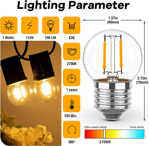 E26 Low Light Bulbs - 1Watt G40 Edison Small LED Light Bulbs, 2700k Warm White for Bedside, 2Pcs
