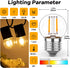 E26 Low Light Bulbs - 1Watt G40 Edison Small LED Light Bulbs, 2700k Warm White for Bedside, 2Pcs